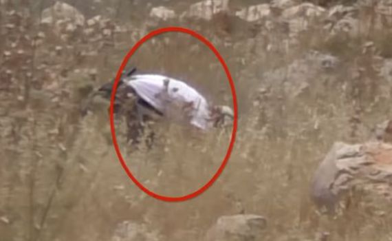 תיעוד: הפלסטינים מציתים, בצלם בהאשמה למתנחלים