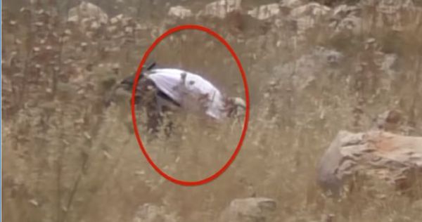 תיעוד: הפלסטינים מציתים, בצלם בהאשמה למתנחלים