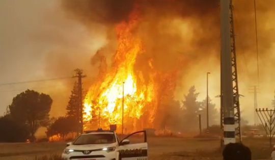 היום החם בשנה: 40 מעלות בי-ם,38 בת"א; כמה אצלכם?