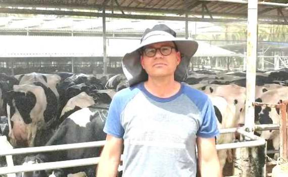 איך מתמודדות הפרות עם יותר מ40 מעלות חום? צפו