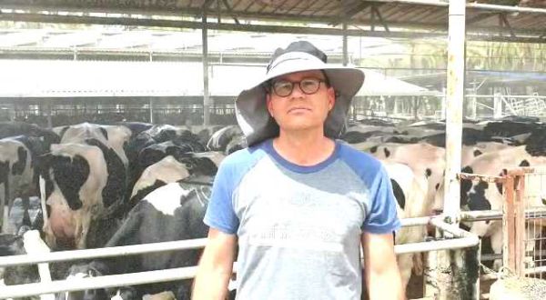 איך מתמודדות הפרות עם יותר מ40 מעלות חום? צפו