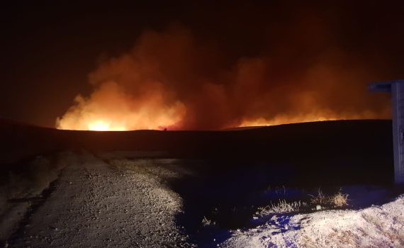רצועת אש מעל 300 מטר: שריפה פרצה ביישוב מכמש