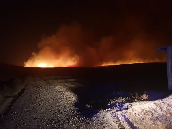 רצועת אש מעל 300 מטר: שריפה פרצה ביישוב מכמש