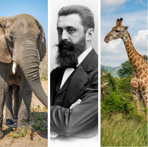 מאוגנדה באהבה: תצביעו בעד התכנית של הרצל?