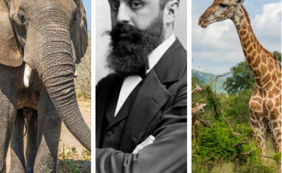 מאוגנדה באהבה: תצביעו בעד התכנית של הרצל?