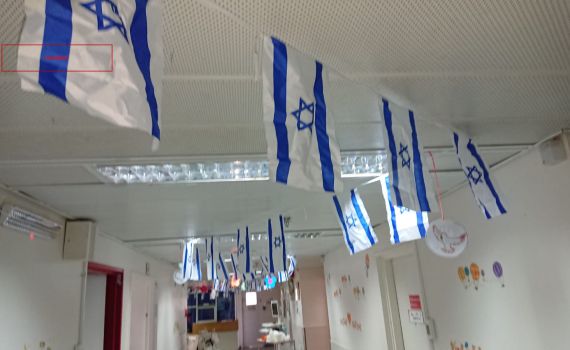 עובדים בביה"ח נדרשו להסיר דגלי ישראל מהמחלקות