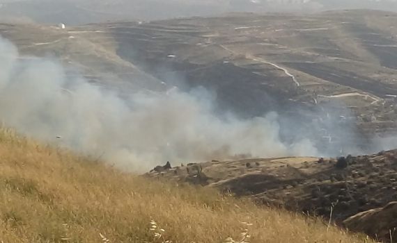 טרור ההצתות: שריפת ענק ליד היישוב יצהר