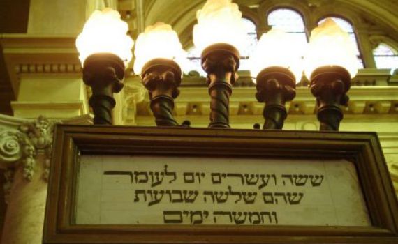 מתרבות חיים בהמית לטהרת החיים הישראליים