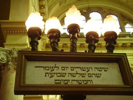 מתרבות חיים בהמית לטהרת החיים הישראליים