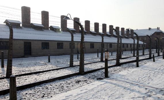 התשובה שלנו לשואה- אנושיות כלפי הניצולים