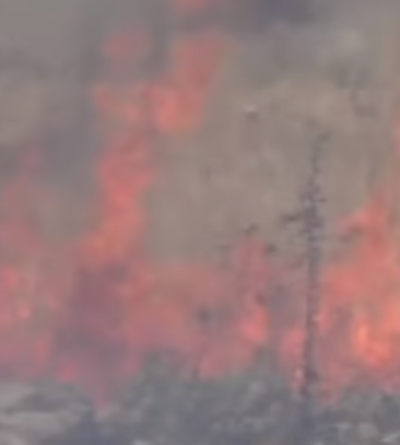 חייל בחופשה תועד מצית שדות פלסטינים והושעה