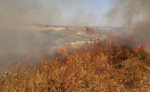 צפו: מחבלים הציתו את שדות היישוב יצהר
