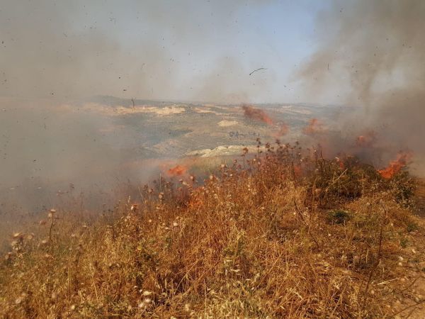 צפו: מחבלים הציתו את שדות היישוב יצהר