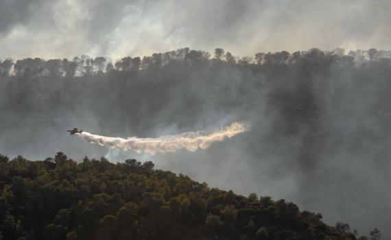 גל השריפות: "עלינו לפעול לסיוע אווירי בינלאומי"