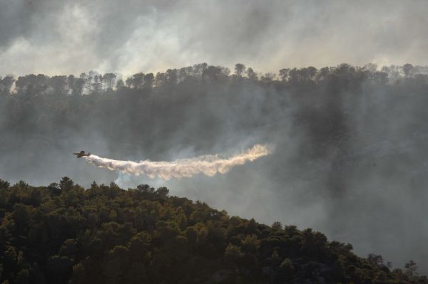 גל השריפות: "עלינו לפעול לסיוע אווירי בינלאומי"
