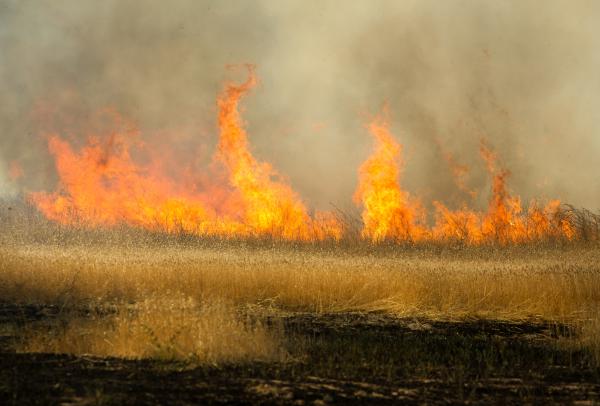 גל שריפות בעוטף ירושלים: עשרות בתים פונו מתושבים
