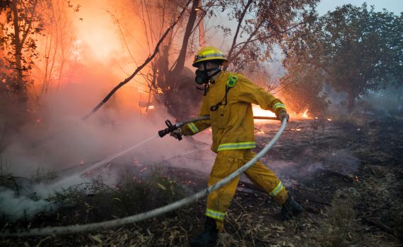 סיכום אירועי השריפות: 1023 מוקדי אש; 0 הרוגים
