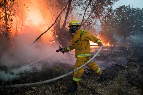 סיכום אירועי השריפות: 1023 מוקדי אש; 0 הרוגים