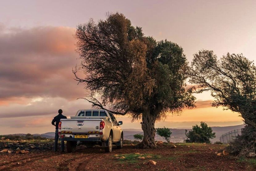 המאבקים ברעשים מהכפר הבדואי הפכו לספר מרתק