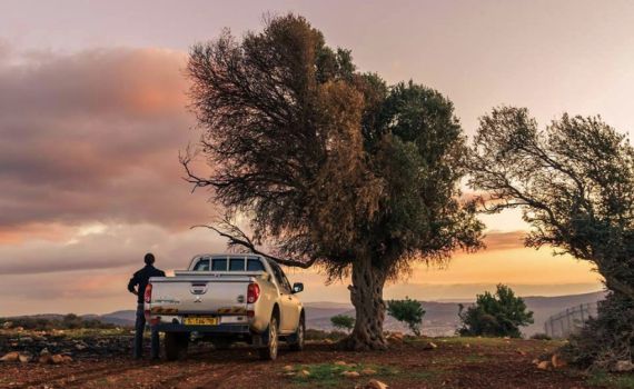 המאבקים ברעשים מהכפר הבדואי הפכו לספר מרתק