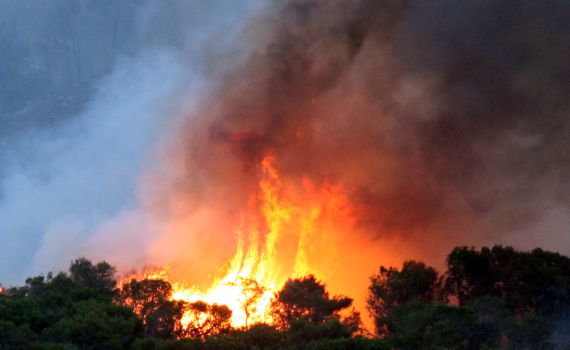 מדורה קשה: אלו השריפות המפורסמות בהיסטוריה
