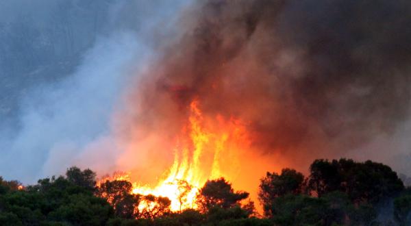 מדורה קשה: אלו השריפות המפורסמות בהיסטוריה