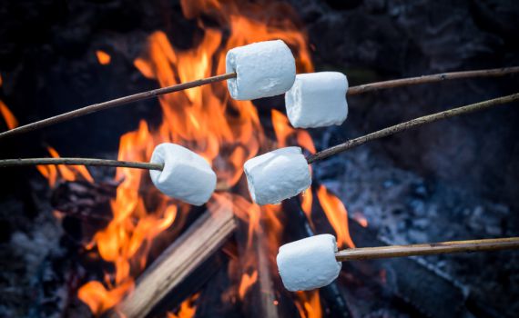 10 דברים ששווה לדעת על הלהיט של המדורה