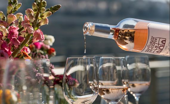 חלב, יין וחג מתן תורה: יינות מומלצים לשבועות