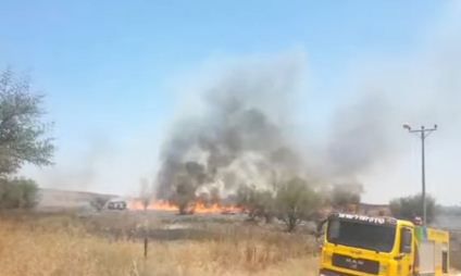 שבת מתוחה בדרום: 14 שריפות פרצו מבלוני תבערה