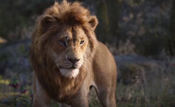 צפו: הרגע הגדול ב"מלך האריות" החדש נחשף