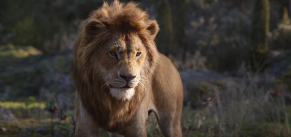 צפו: הרגע הגדול ב"מלך האריות" החדש נחשף