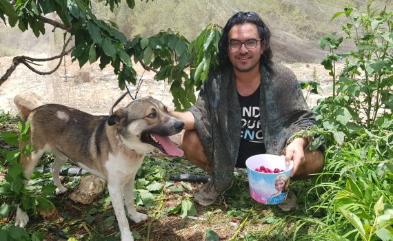 הפסטיבל שהצליח למשוך אלפי מבקרים אל גוש עציון