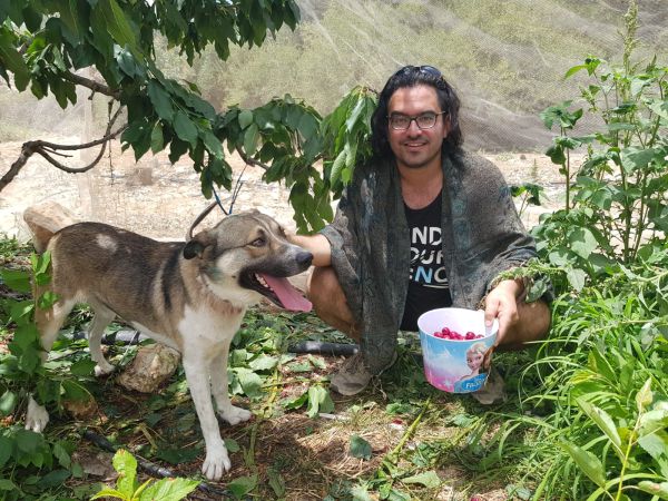 הפסטיבל שהצליח למשוך אלפי מבקרים אל גוש עציון