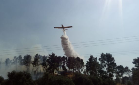 שריפות בשומרון: מתנדבים ומסוקים נאבקים באש