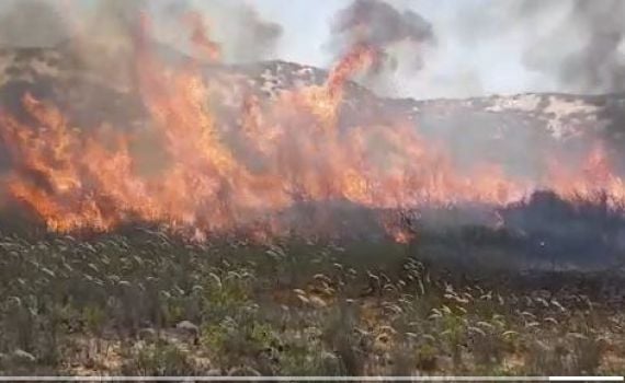 מזג האוויר הקיצוני: מכבי האש מזהירים משריפות