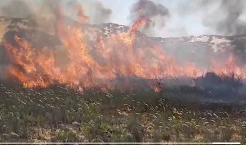 מזג האוויר הקיצוני: מכבי האש מזהירים משריפות