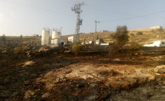 צפו: מחבלים מציתים מאות דונמים ונמלטים