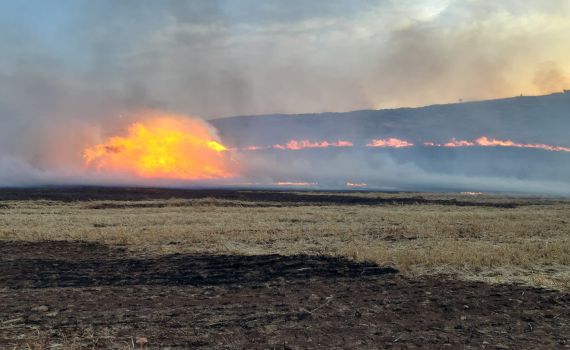 מדינה בלהבות: שריפה משתוללת מסביב לאיתמר