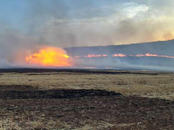 מדינה בלהבות: שריפה משתוללת מסביב לאיתמר