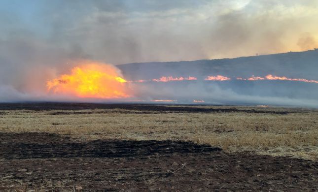  מדינה בלהבות: שריפה משתוללת מסביב לאיתמר