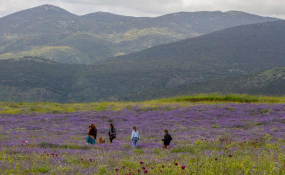 מזג האוויר: סוף שבוע נוח, בשבוע הבא התחממות