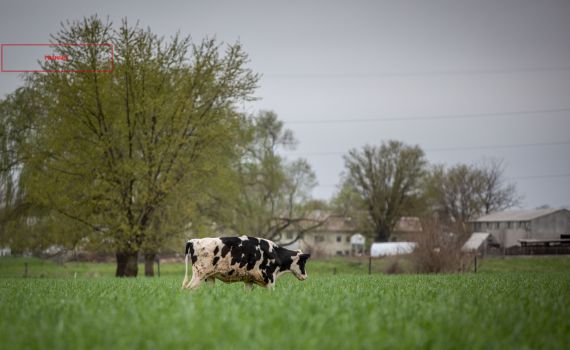 בעקבות הקיצוץ: הוכרזה שביתה במשרד החקלאות