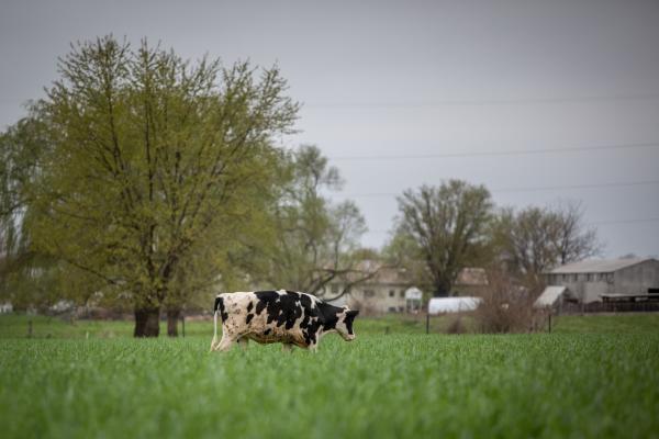 בעקבות הקיצוץ: הוכרזה שביתה במשרד החקלאות
