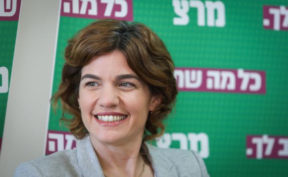 מכה לזנדברג: במרצ ילכו לפריימריז לראשות המפלגה