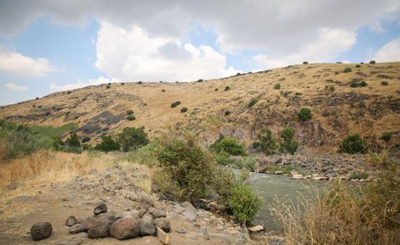 מתנחלים תלמדו: מה הפך את הגולן לקונצנזוס?