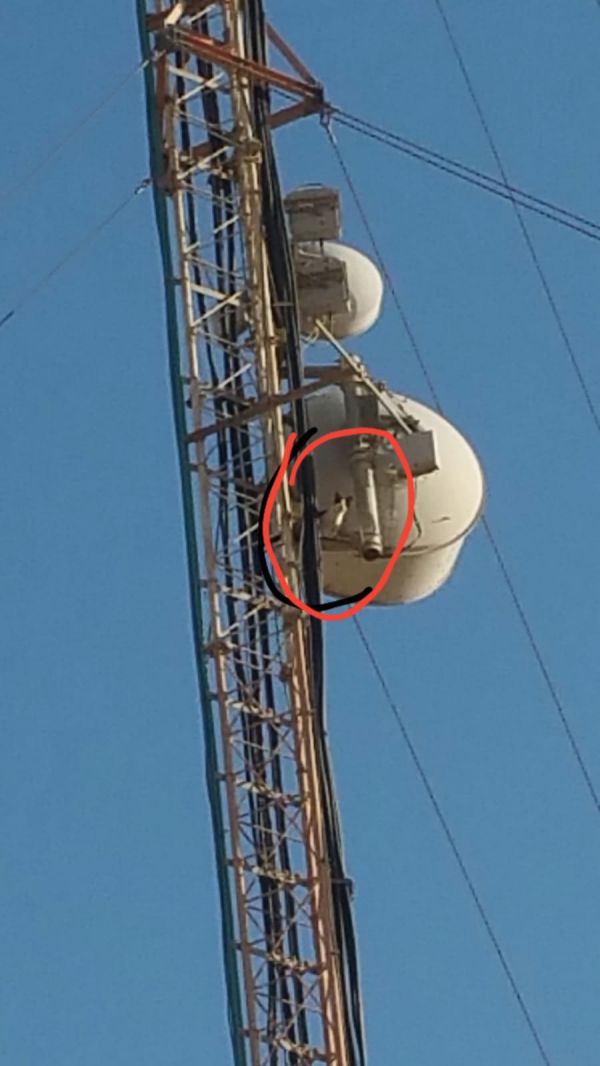 כך חולצה חתולה שנתקעה באנטנה גובה 45 מ'