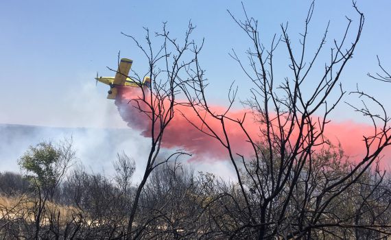 מסתמן: שריפת החורש ליד יערה – כתוצאה מהצתה