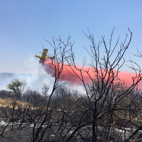 מסתמן: שריפת החורש ליד יערה – כתוצאה מהצתה