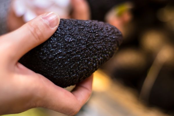 שדד את הדואר עם "רימון" – אבוקדו שהשחיר