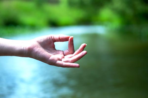 קבלי מתנה: סרטונים ביוגה, משחק ושירה